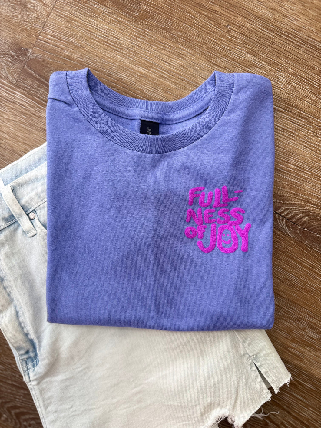 Fullness of joy youth